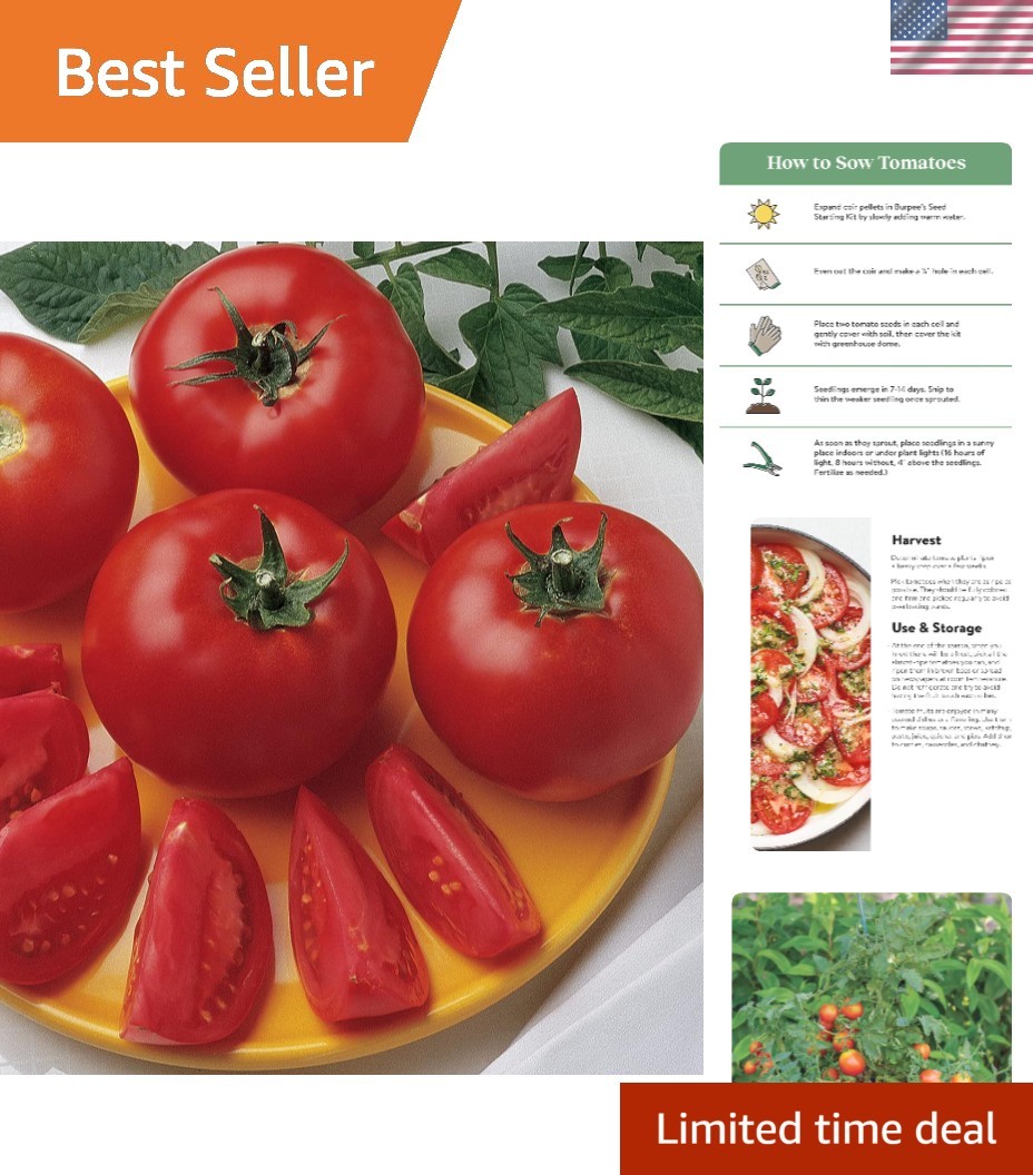 Self-Supporting Bush Early Girl Tomato Seeds – Ideal for Small Spaces (30 Count)