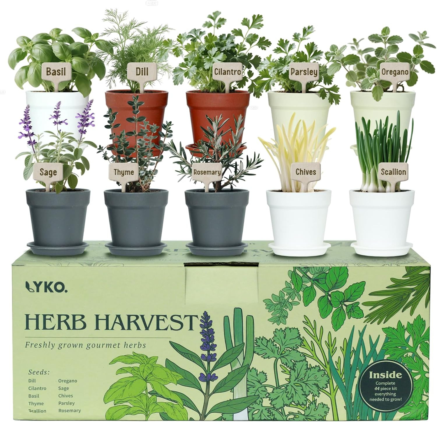 10 Indoor Herb Garden Kit, 33Pcs Complete Kitchen Herb Starter Set Including 4-C