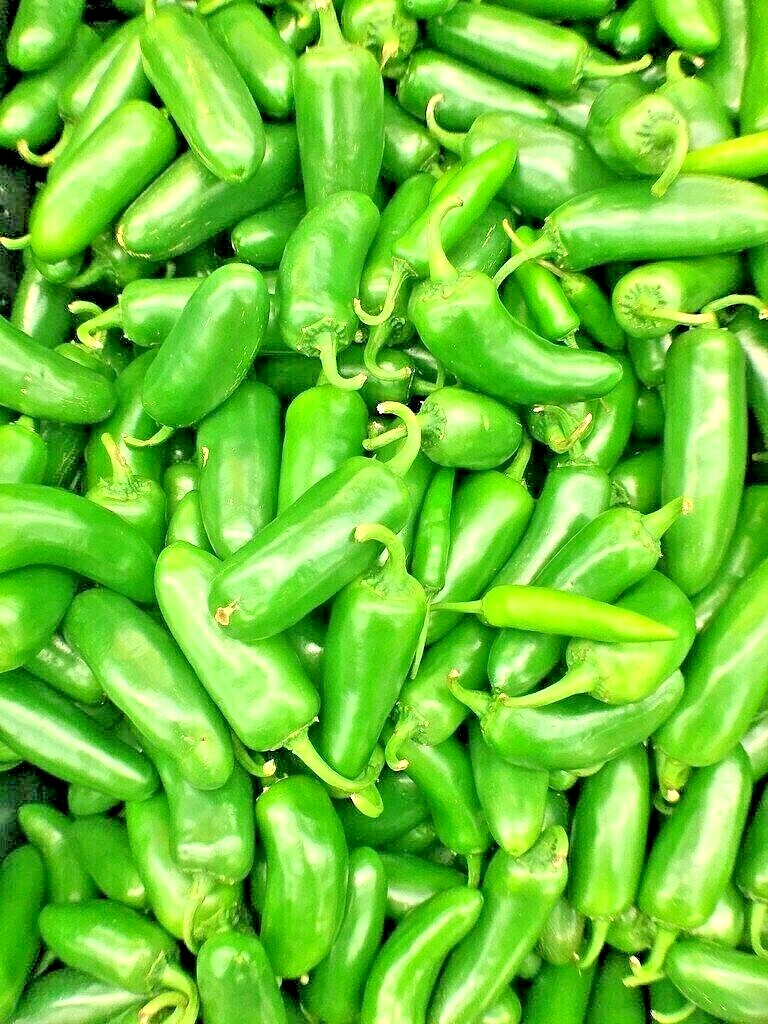 300 JALAPENO PEPPER SEEDS SUMMER HEIRLOOM VEGETABLE FRUITS NON-GMO TASTY USA