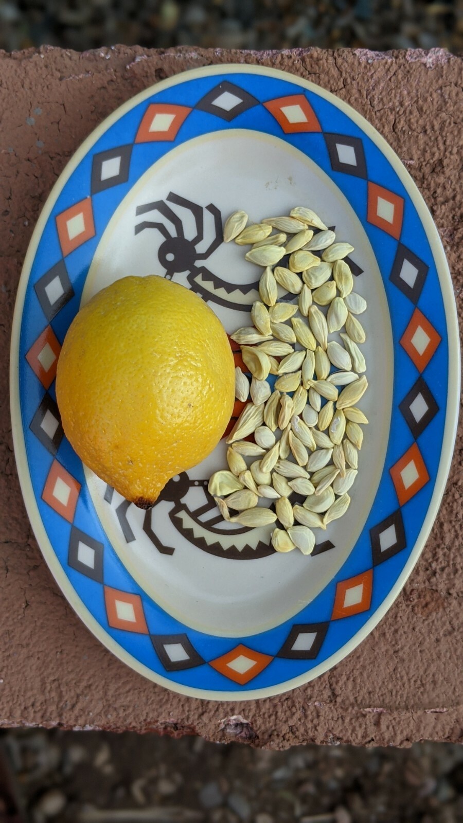 Lemon Seeds – 20 Fresh 🍋 Seeds Proudly Made In/From Arizona Meyer Lemon Non GMO