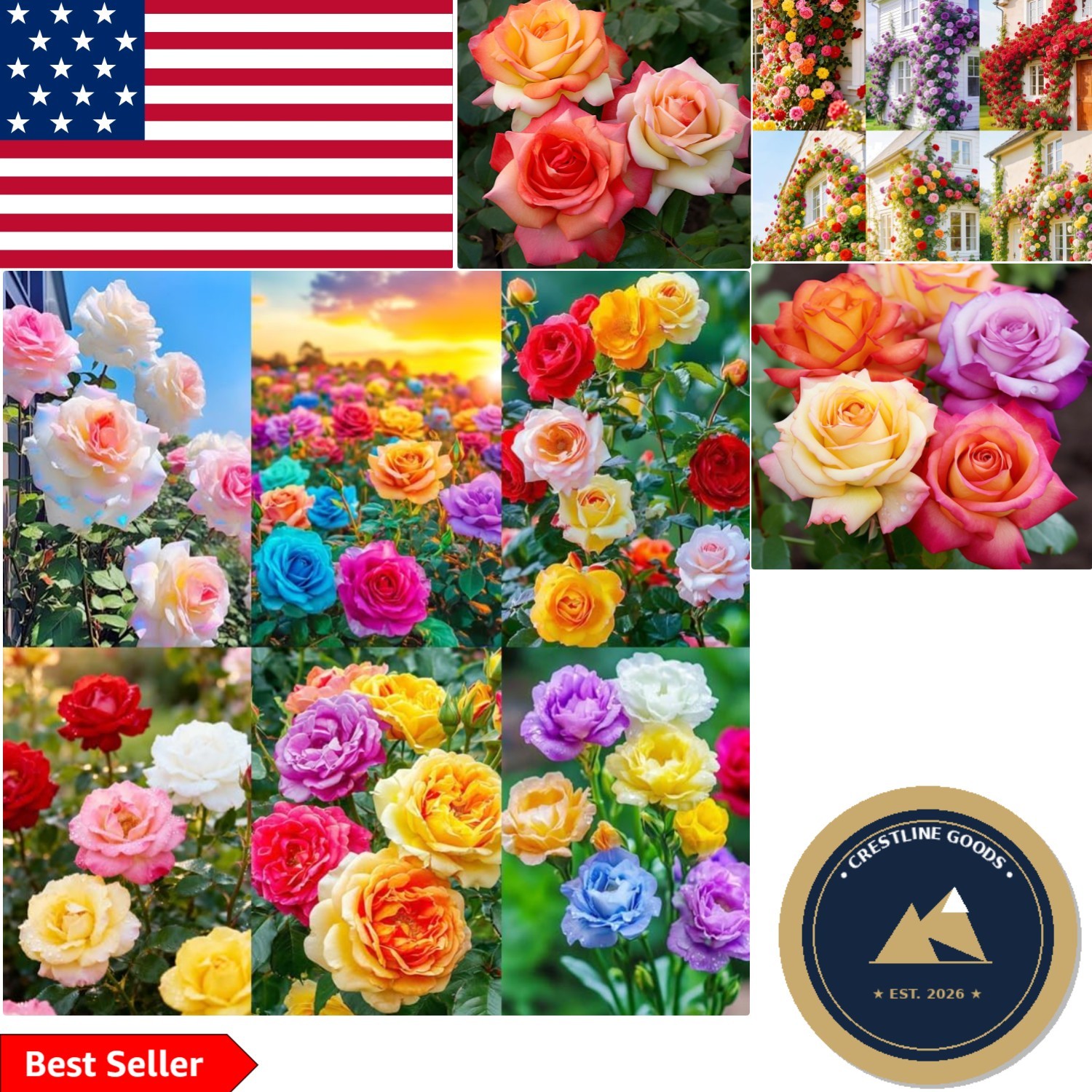 250 Count Mixed Climbing Rose Flower Seeds – Ornamental for Summer Blooms