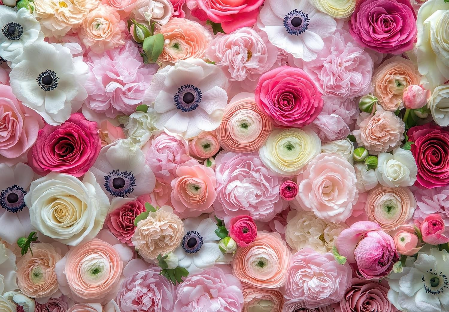 Pastel Ranunculus & Anemone Flower Bulb Mix – 50 Premium Bulbs for Planting | Ro