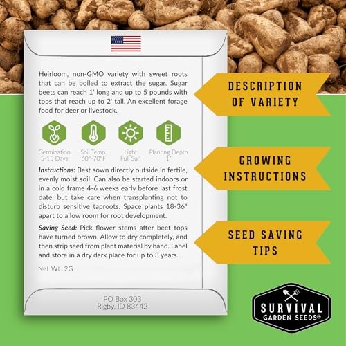 Sugar Beet Seeds for Planting – High Sugar Content Beets for Garden Growing, 2