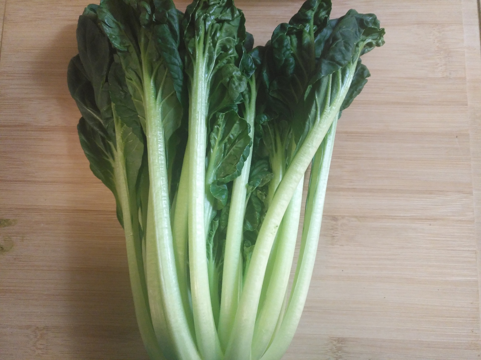 500 Heirloom Tatsoi Brassica rapa Asian Green Seeds – Bok Choy, Spinach Mustard