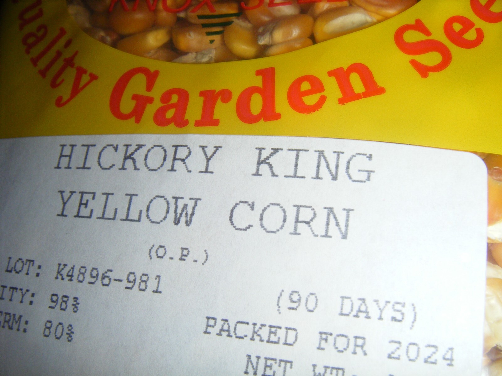 200 Hickory King Yellow Heirloom Corn Seeds Roasting Ears Grow in Yard or Garden
