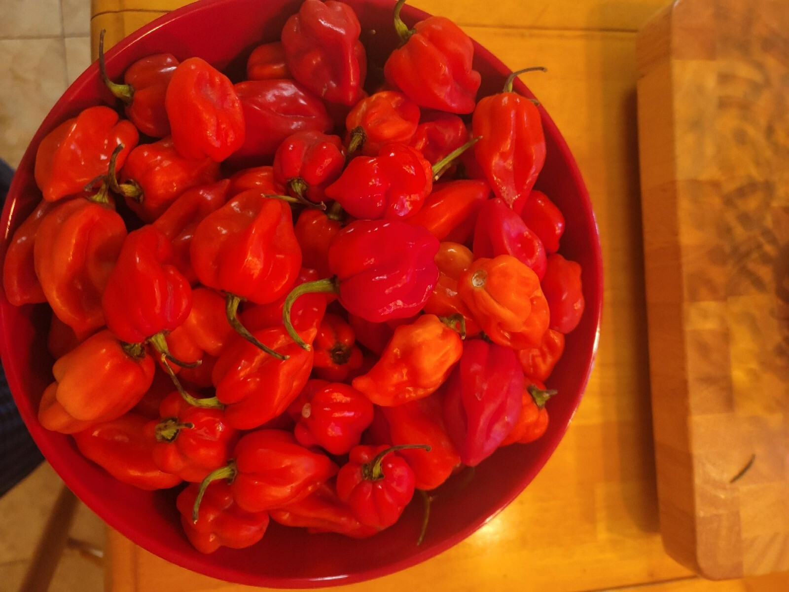 2 Pound Fresh Red Habanero Chili Peppers