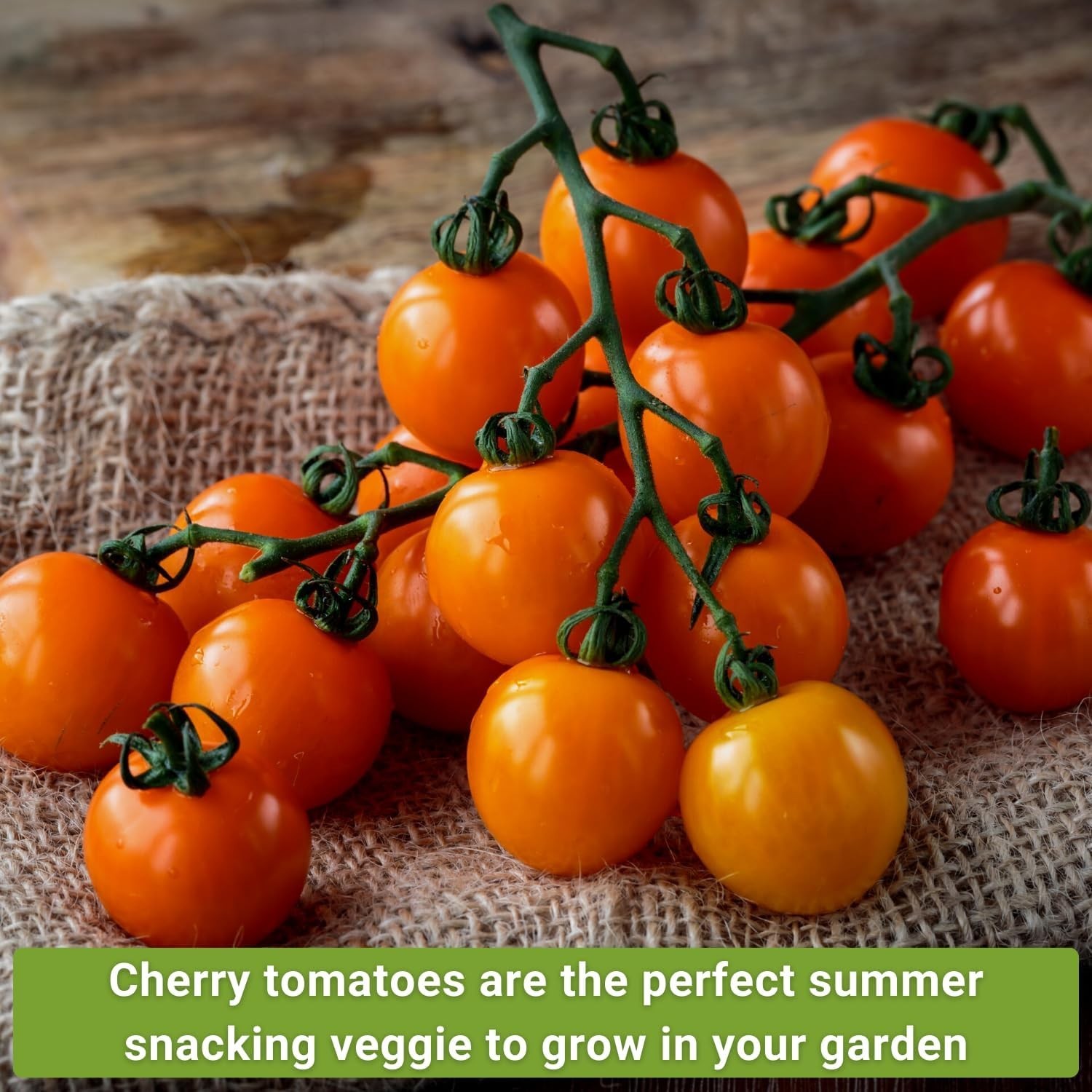 Cherry Tomato Seed Collection for Planting – Black, Large Red, White, Orange,…