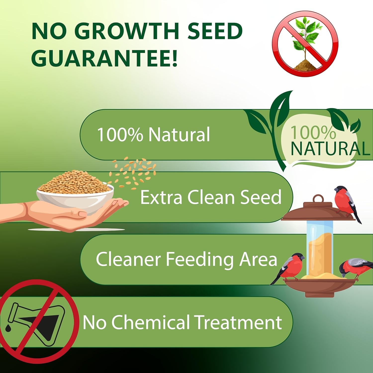 Wild Bird Seed 5 Pounds Shelled Peanuts No Grow Bird Seed Peanut Seeds