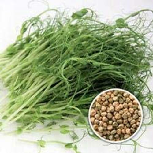 2 oz Brown Speckled Pea