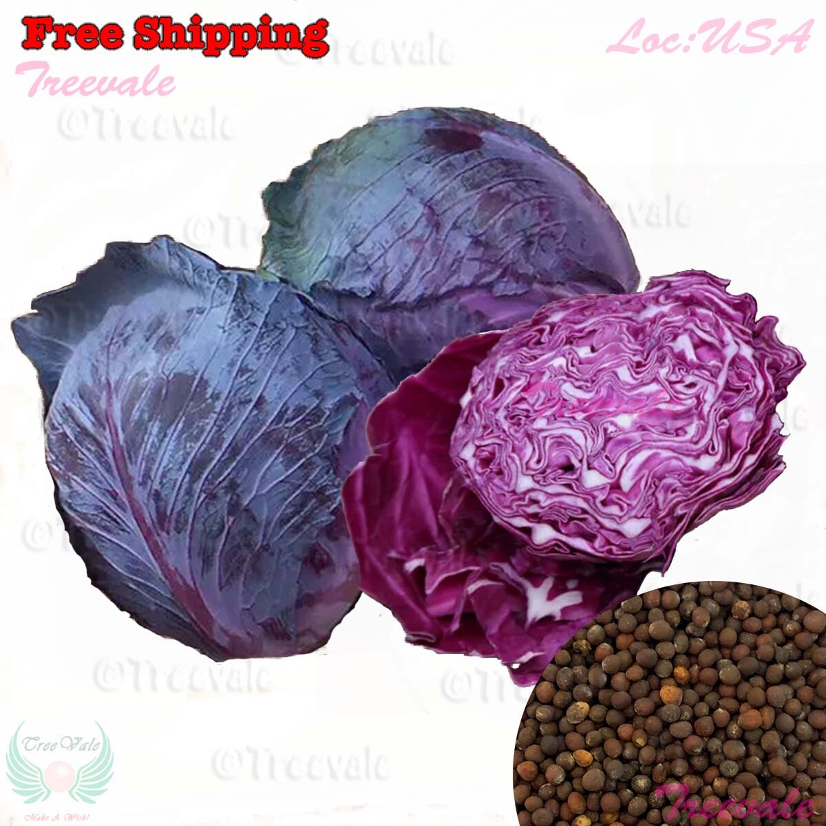 Red Acre Cabbage – Cabbage Seeds | Golden Acre Cabbage Seeds | Non-GMO