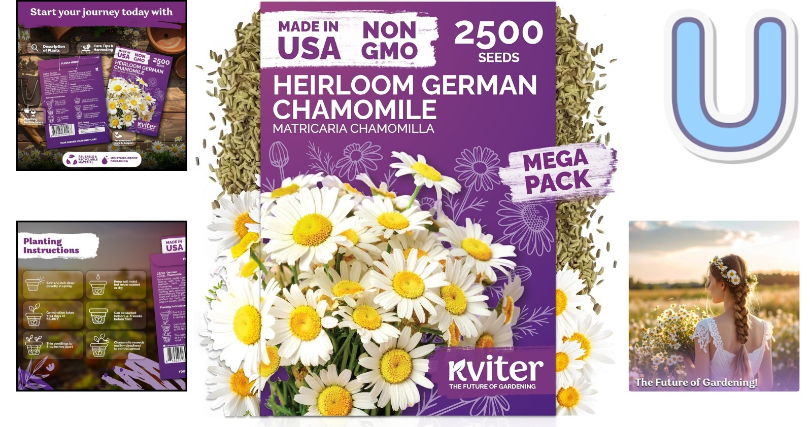 Aromatic German Chamomile Seeds – 2,500 Heirloom Seeds for Tea and Skin Remedies