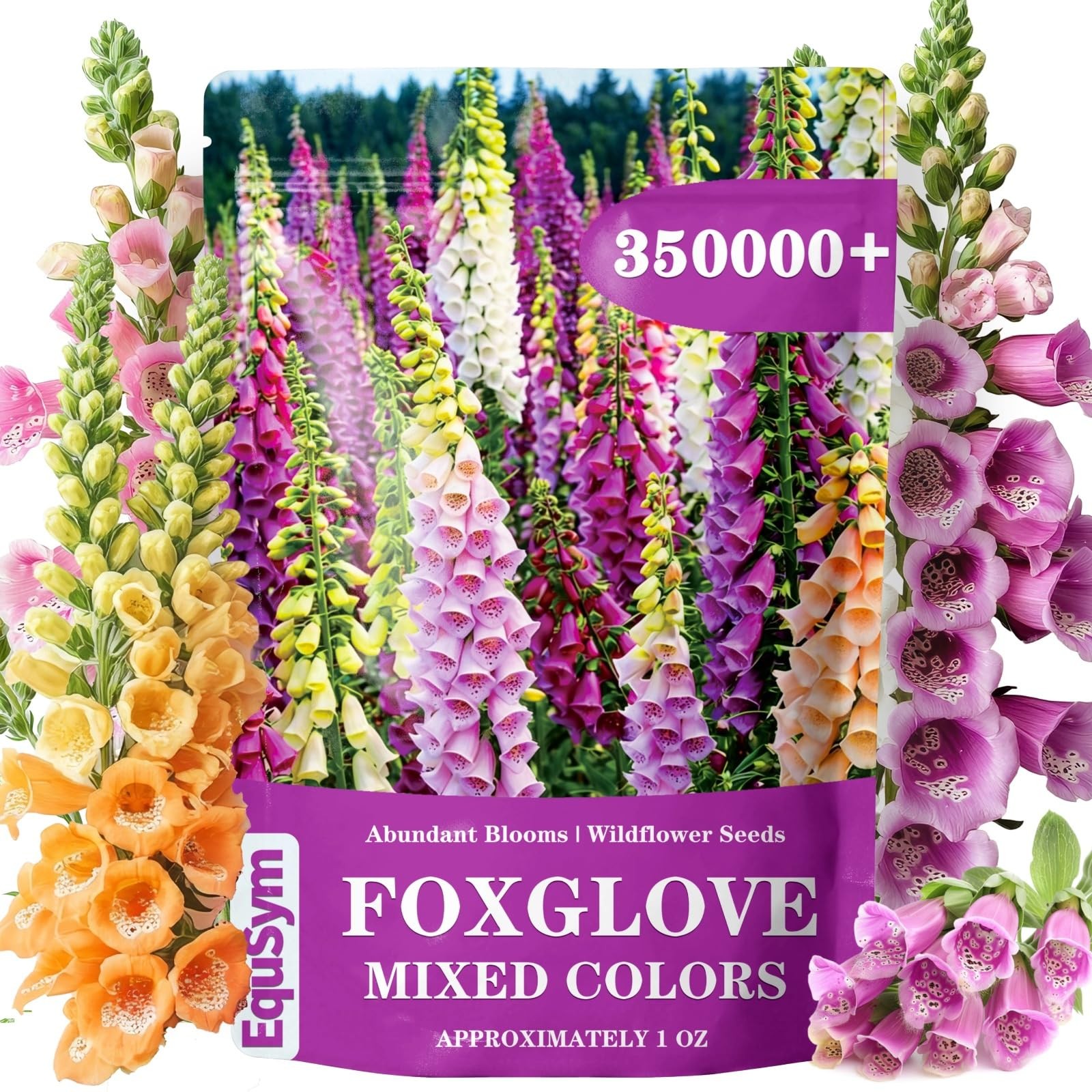 350,000+ Common Foxglove Seeds for Planting Digitalis Purpurea Seeds, Tall O…