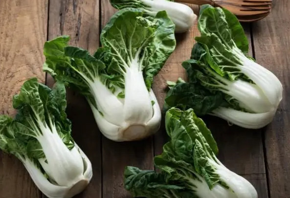 Baby Bok Choy Seeds | Dwarf Pak Choi USA Asian Vegetable Chinese Cabbage 2024