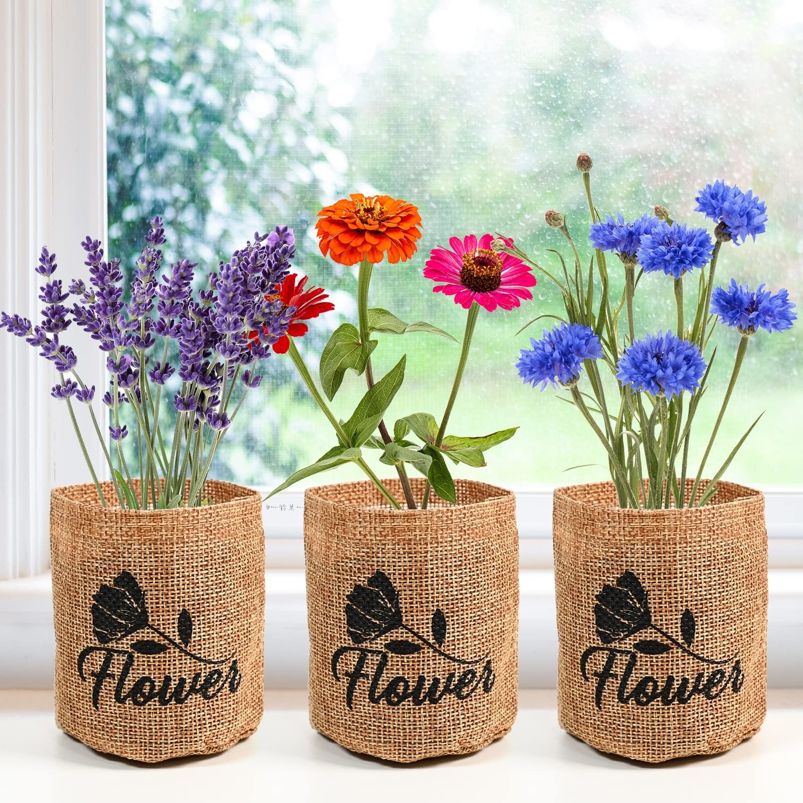 Indoor Daisy Garden Starter Kit with Gardening Tools – Planter Bags, Markers,…