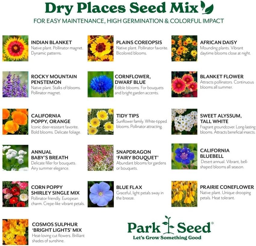 Annual & Perennial Wildflower Mix – 1/4 lb for Pollinators & Spring Blooms