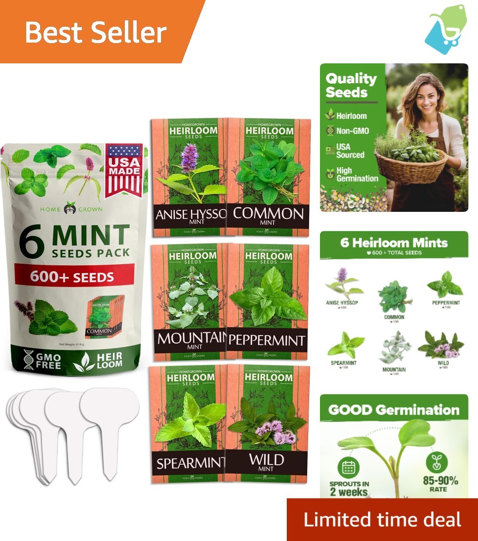 Heirloom Mint Seeds Variety Pack – Perfect for Your Indoors and Outdoors Garden