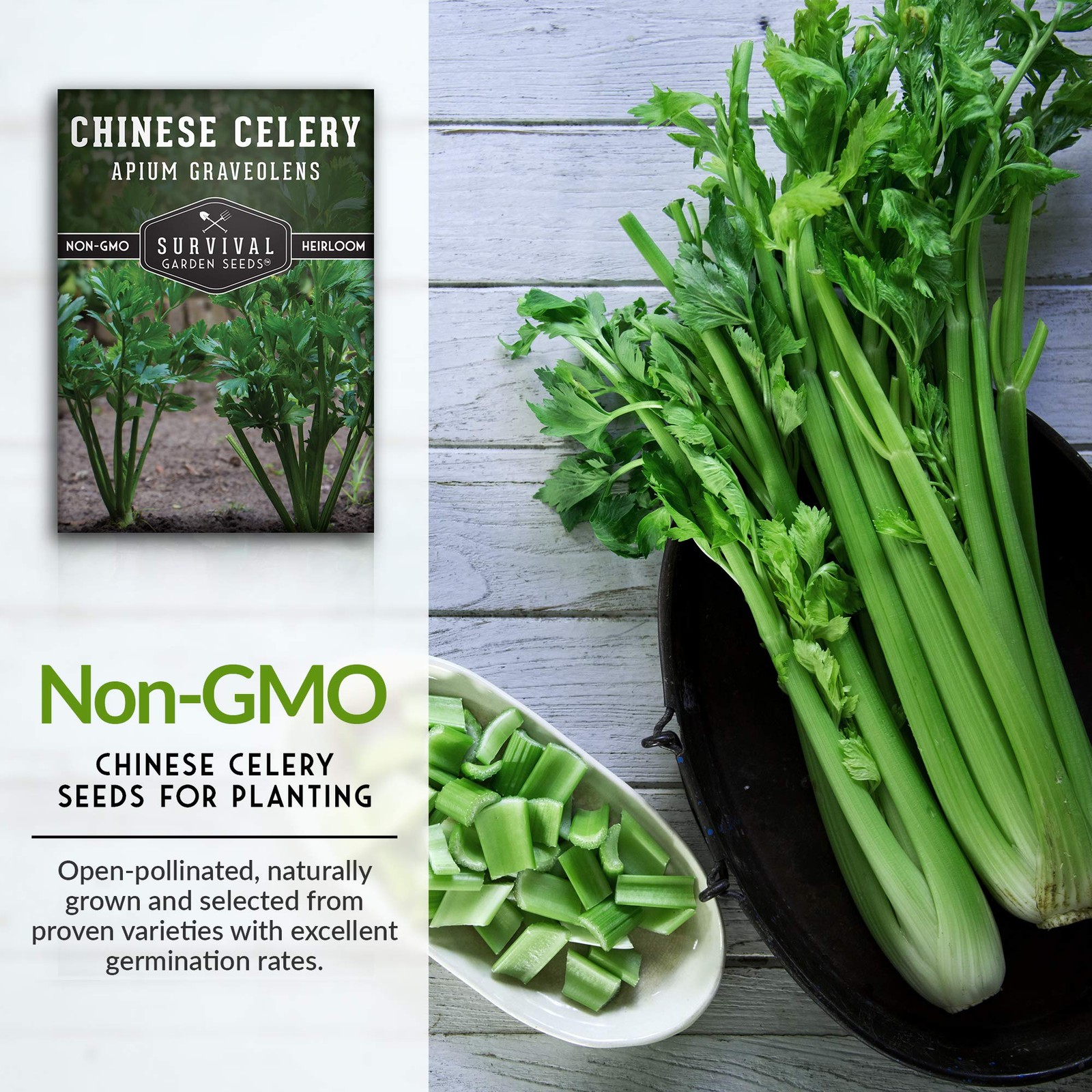 Chinese Celery Seeds for Planting – 1 Packet with Instructions to Grow Asian …