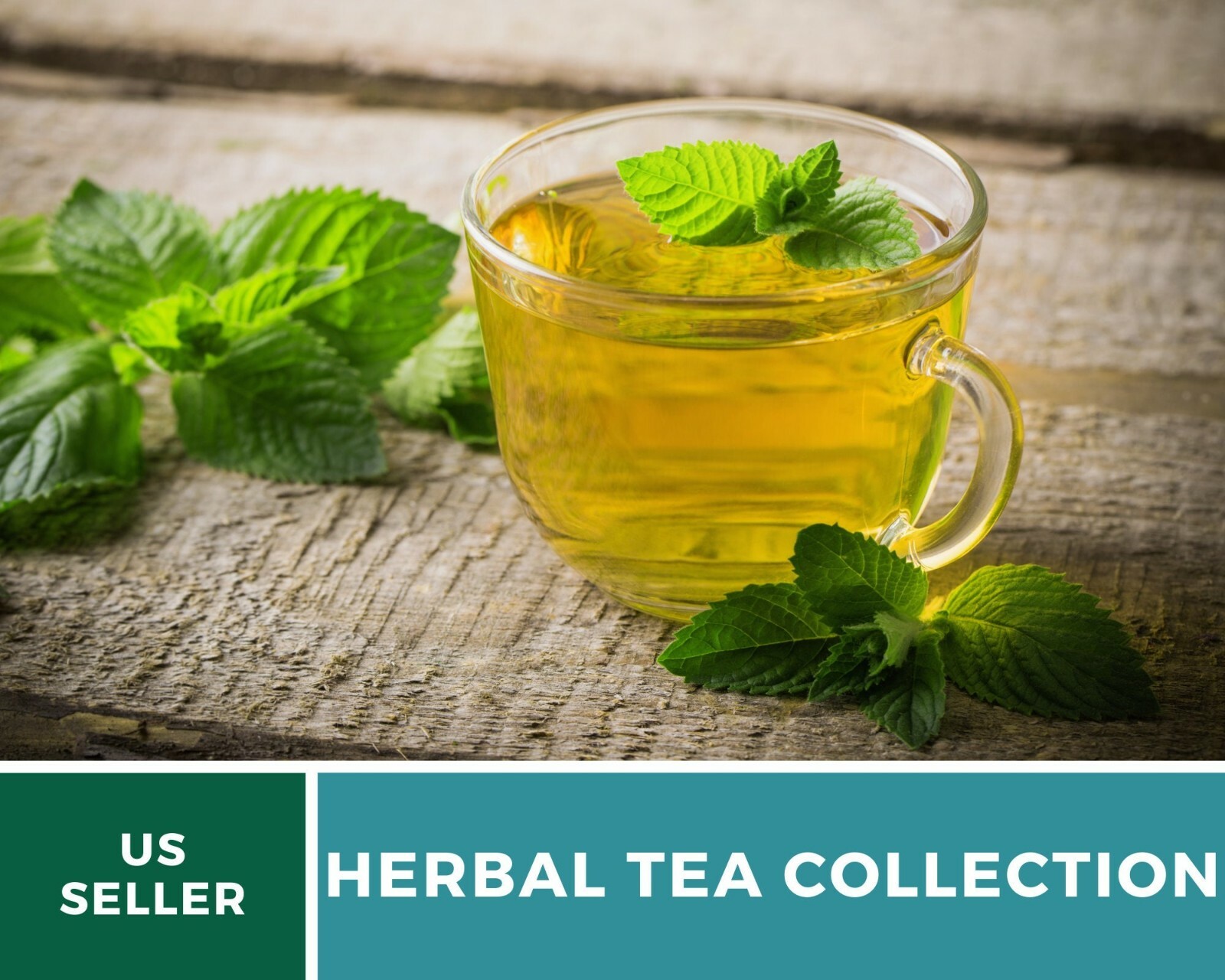 Herbal Tea Seed Collection – 6 Essential Herbs – Non-GMO