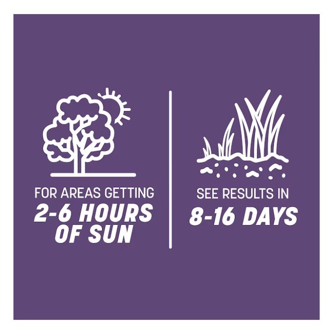 [SALE] Pennington Smart Seed Dense Shade Tall Fescue Grass Seed 7 lb (2 Pack)