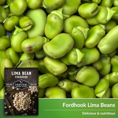 Fordhook Lima Bean Seeds for Planting – Packet with Instructions to Plant and 1