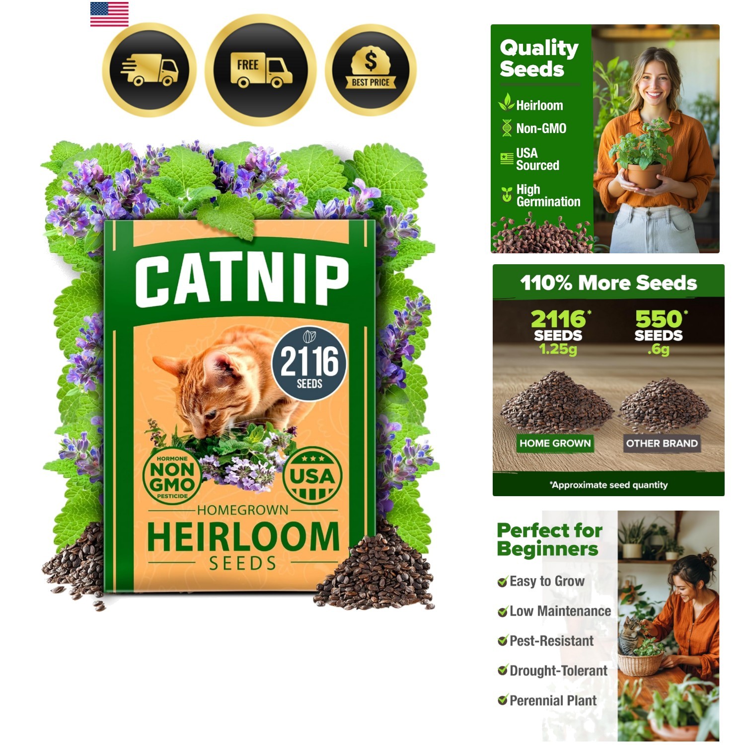 Catnip Seeds Bulk Pack Heirloom Non GMO Indoor Outdoor Herb 2116 Seeds