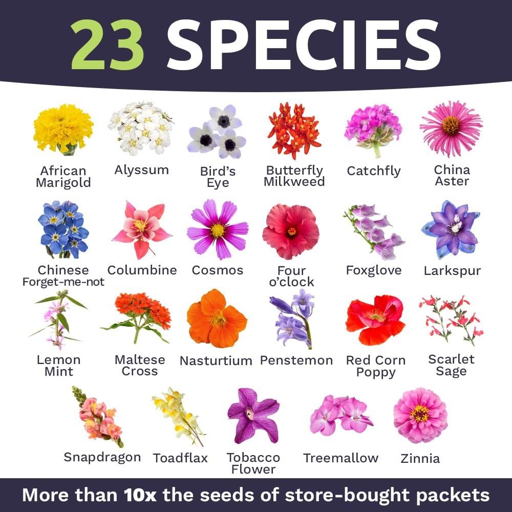 Wildflower Seeds Butterfly Hummingbird Mix 1 Ounce 7500+ Annual Perennial