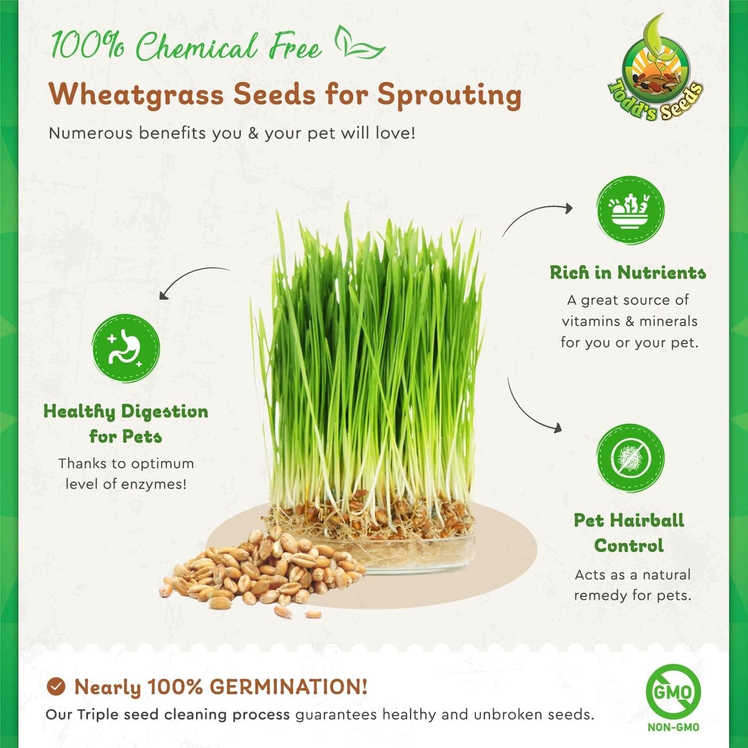 1lb Pet-Safe Wheatgrass for Cats – Todd’s Non-GMO Grass, Easy Indoor Growing