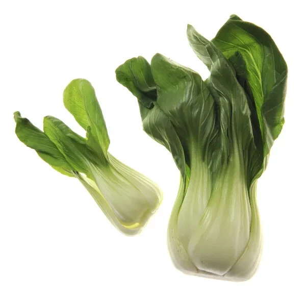 4000+ Bok Choy Seeds | Chinese White Stem Pak Choi | Chinese Cabbage Seeds