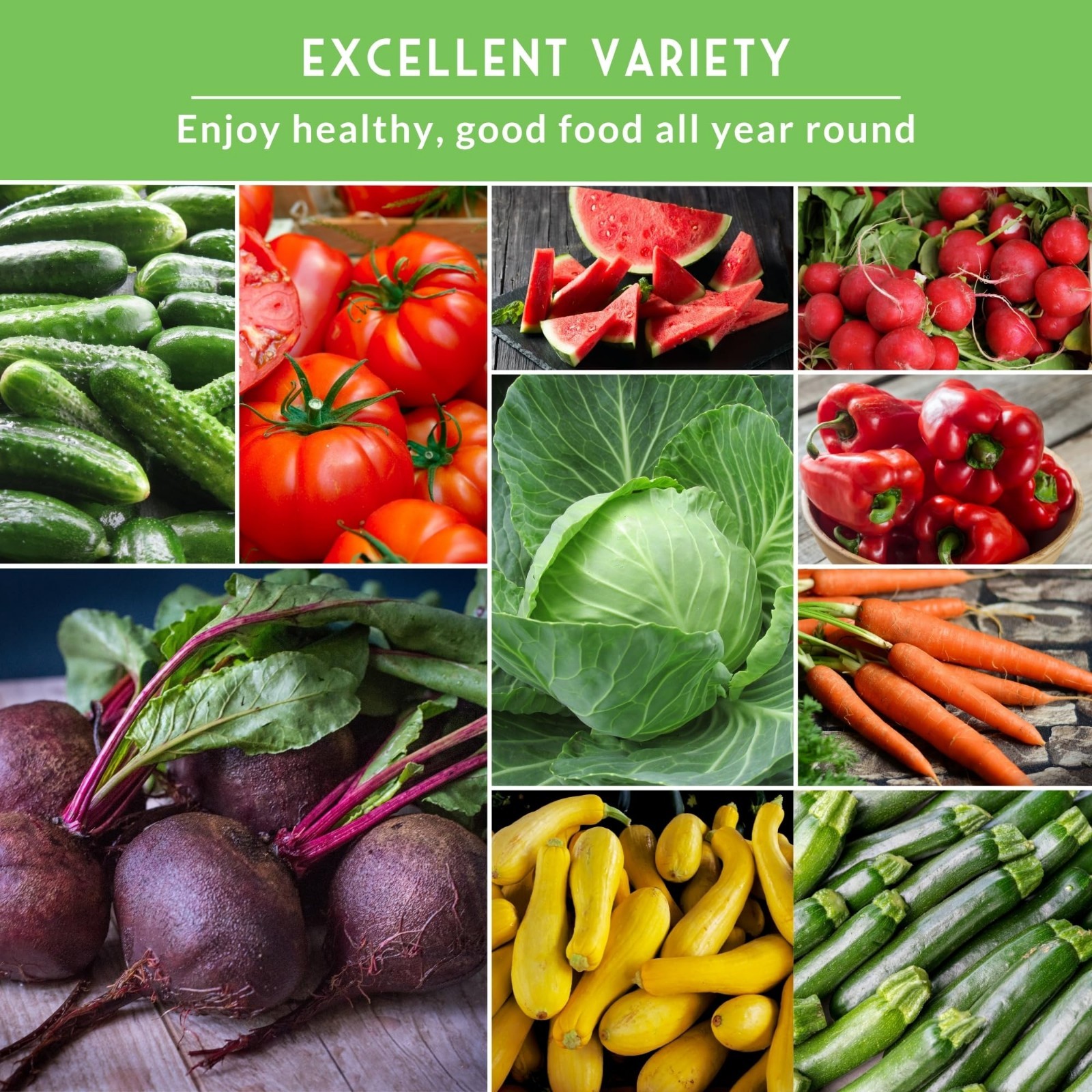 Heirloom Vegetable Garden Seed Vault – 15 Pack Non-GMO Seeds for Tomato, Lettuce