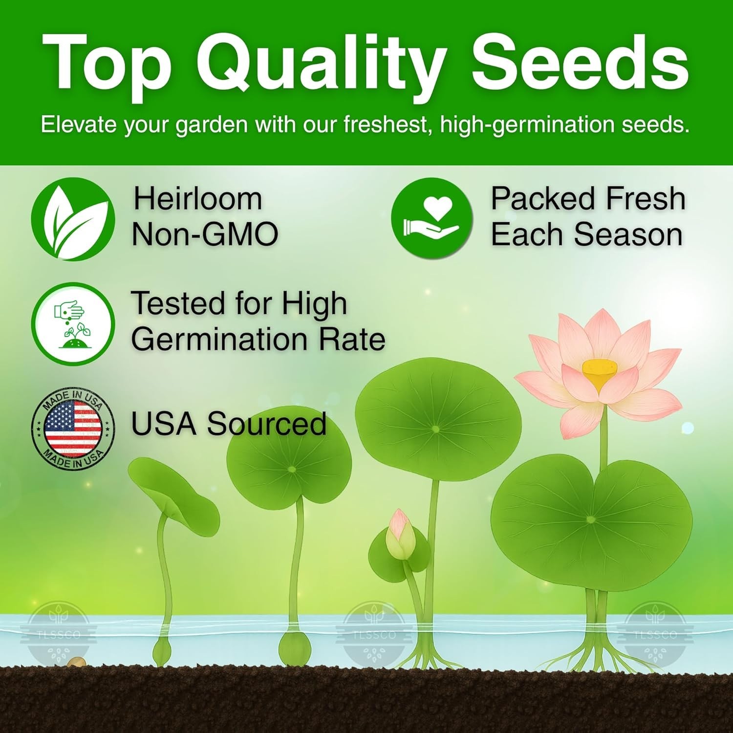 15 Non-GMO Lotus Seeds for Stunning Indoor & Outdoor Aquatic Gardens