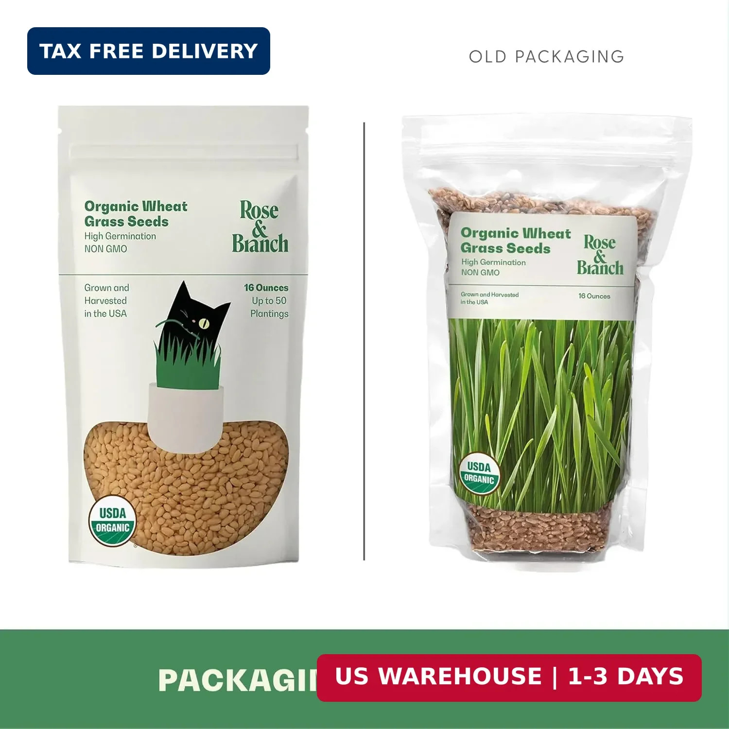 Rose & Branch Organic Wheat Grass Seeds for Indoor Cats – Cat Grass Seeds – 16 O