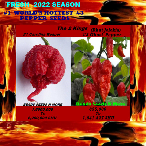 COMBO PACK 2 KINGS” Carolina Reaper HB22a & Ghost Pepper 80+ Seeds