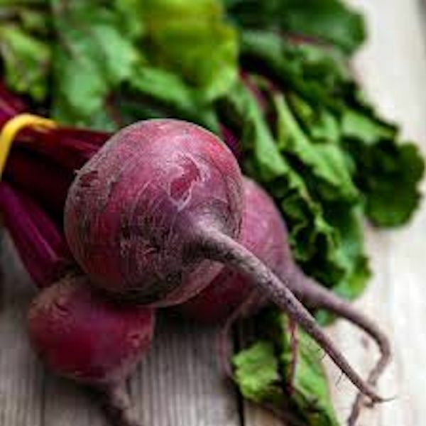 250 Detroit Dark Red Beet Seeds Non-GMO Free Shipping