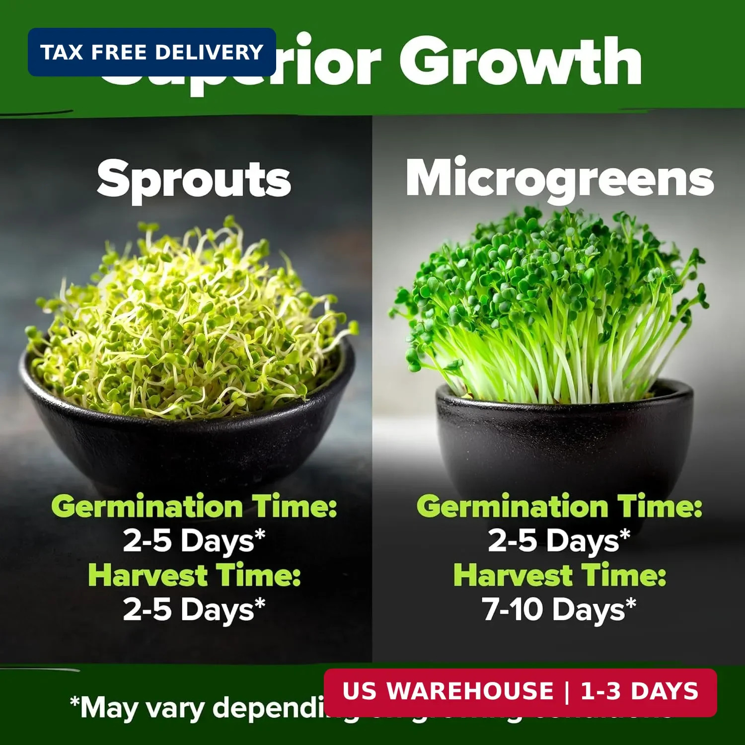 HOME GROWN Broccoli Seeds 8 oz Bulk Heirloom Non-GMO, High Germination, Sulforap