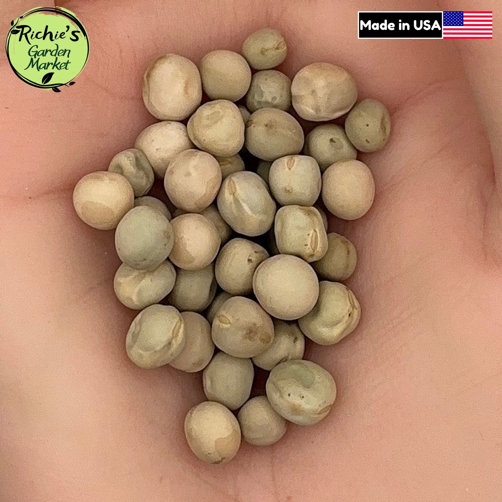 Pea Oregon Sugar Pod Seeds, Tender Snow Pea, Crisp Pods, Non-GMO, Free Shipping