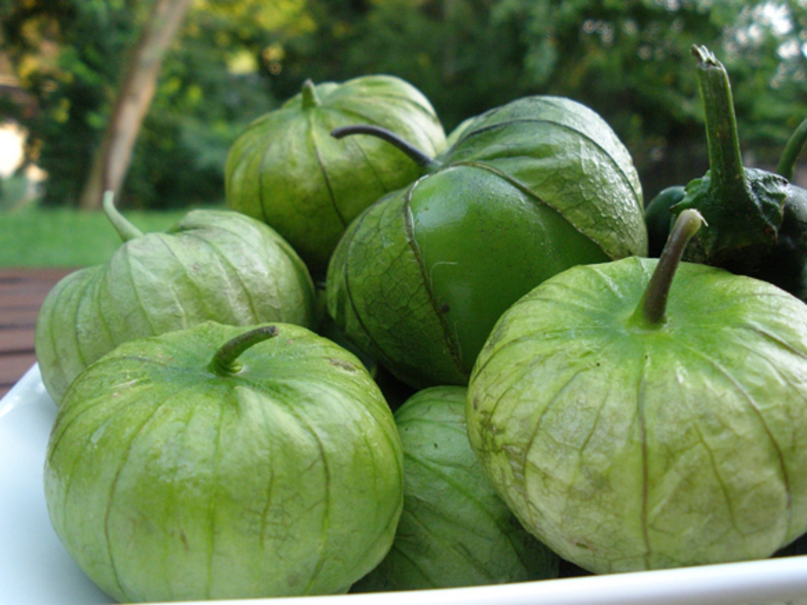 100+ Tomatillo Verde Seeds- Heirloom Variety 2021 Seeds $1.69 shipping/order