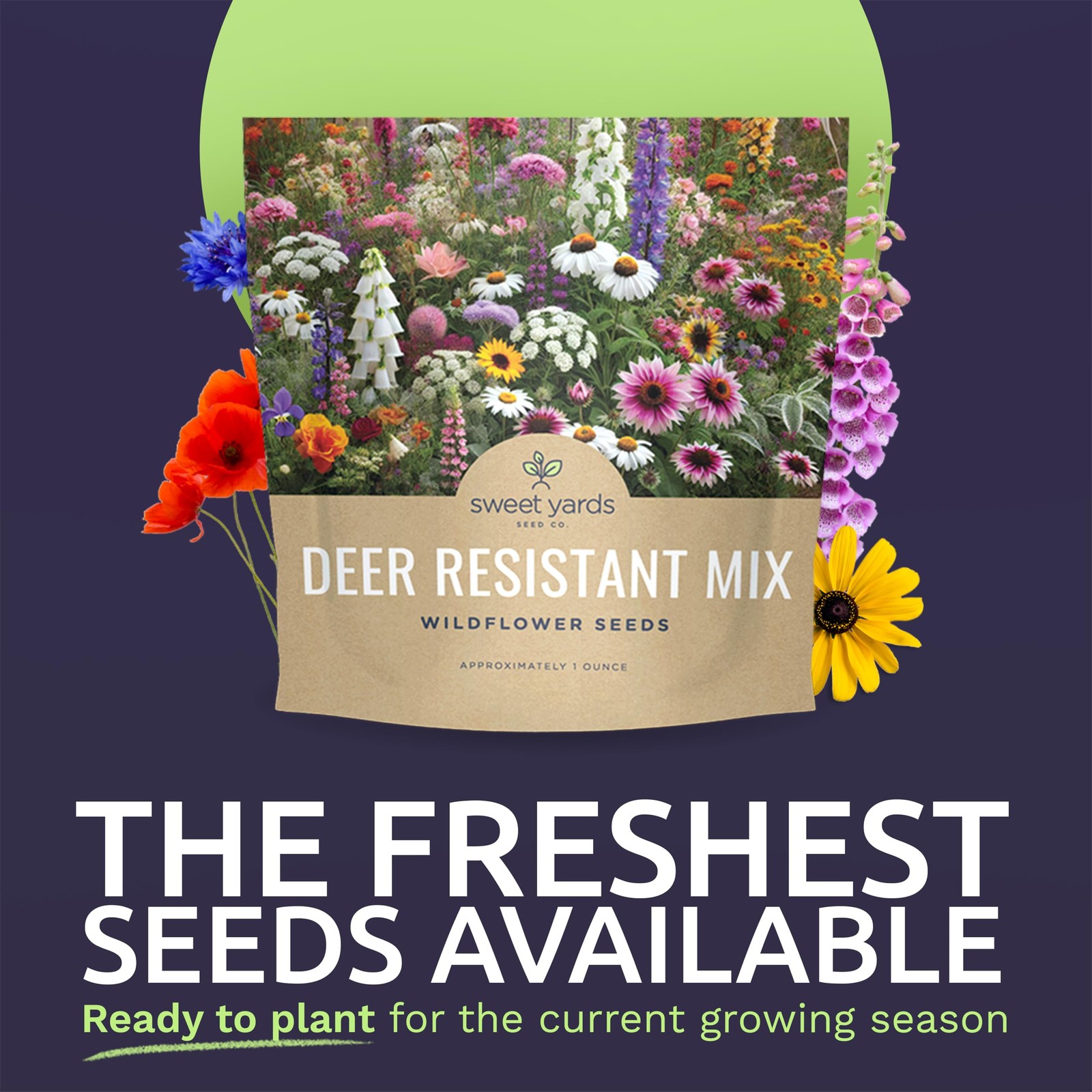 Deer Resistant Wildflower Seed Mixture – Bulk 1 Ounce Packet – Over 15,000 De…