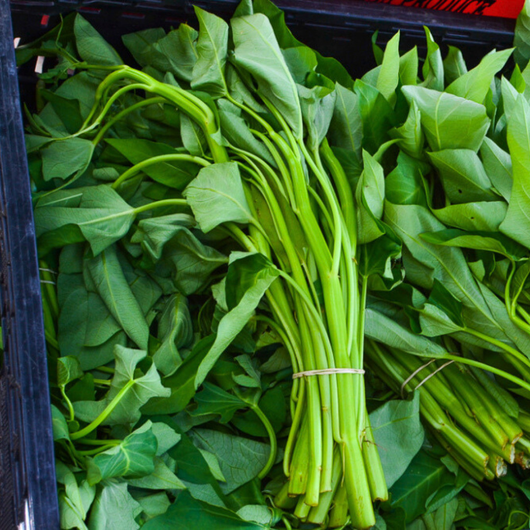 Fresh Green Arrow Spinach Seeds | Heirloom Non-GMO | Asian Vegetables