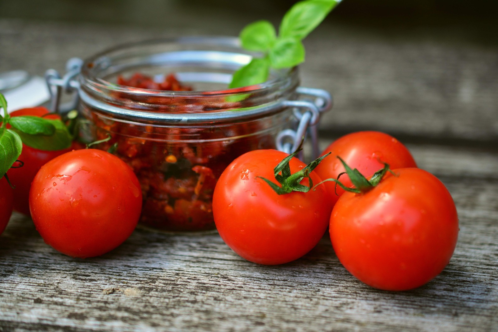 1 Oz Bulk ITALIAN TREE TOMATO ‘Trip L Crop’ Seeds – 1 Ounce = Approx 9500 Seeds