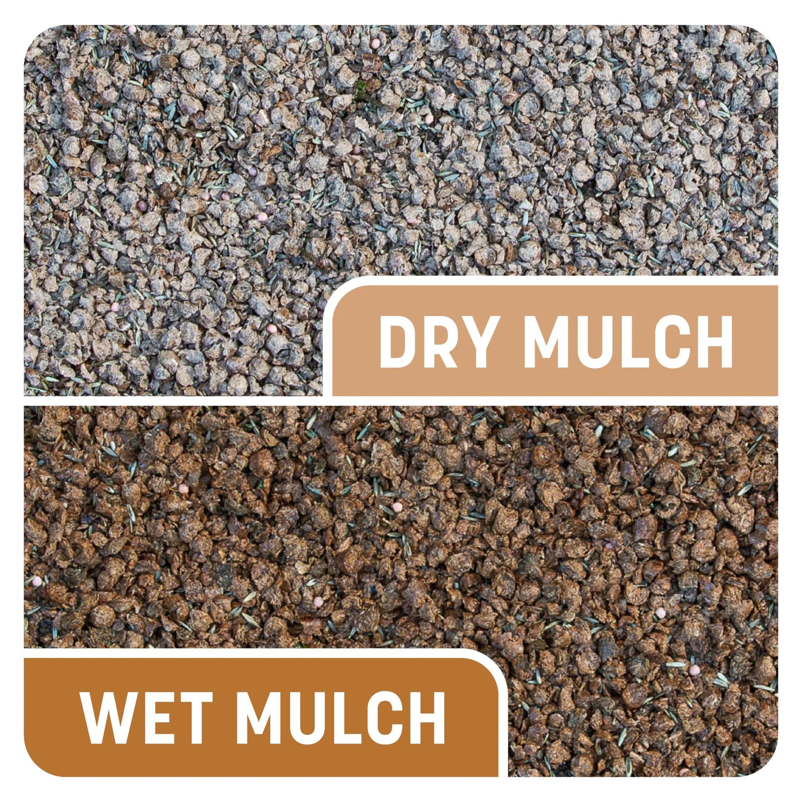 Smart Patch Centipede Seed Mix 5 Lb