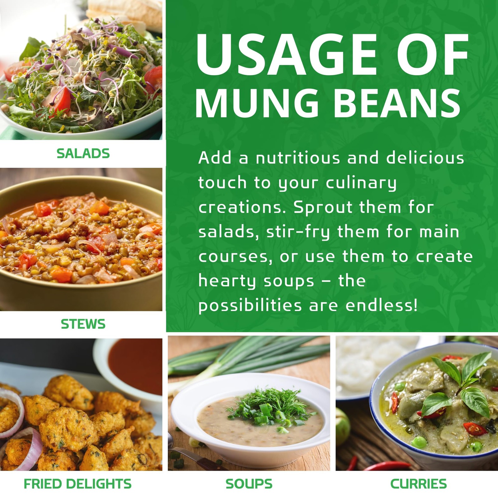 Jiva Organic Mung Bean – Mung Moong Beens Whole for Sprouting and Cooking – 2…