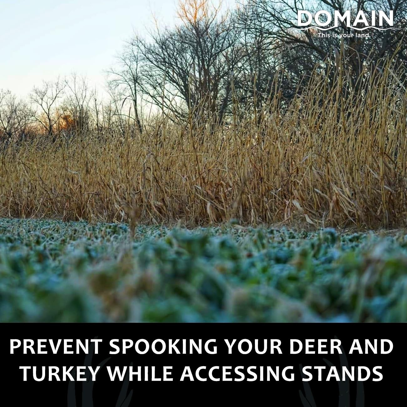 “Incognito Deer Plot Seed for 1/4 Acre Fast Growing Concealment Solution”