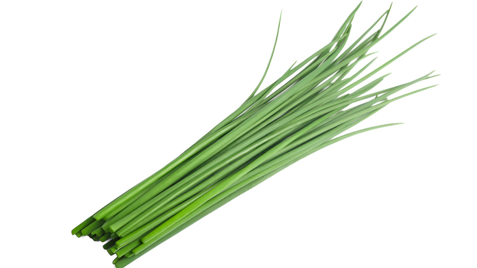 400 Heirloom Organic Chive Seeds – Non-GMO Perennial Herb – Oniony Garlic Flavor