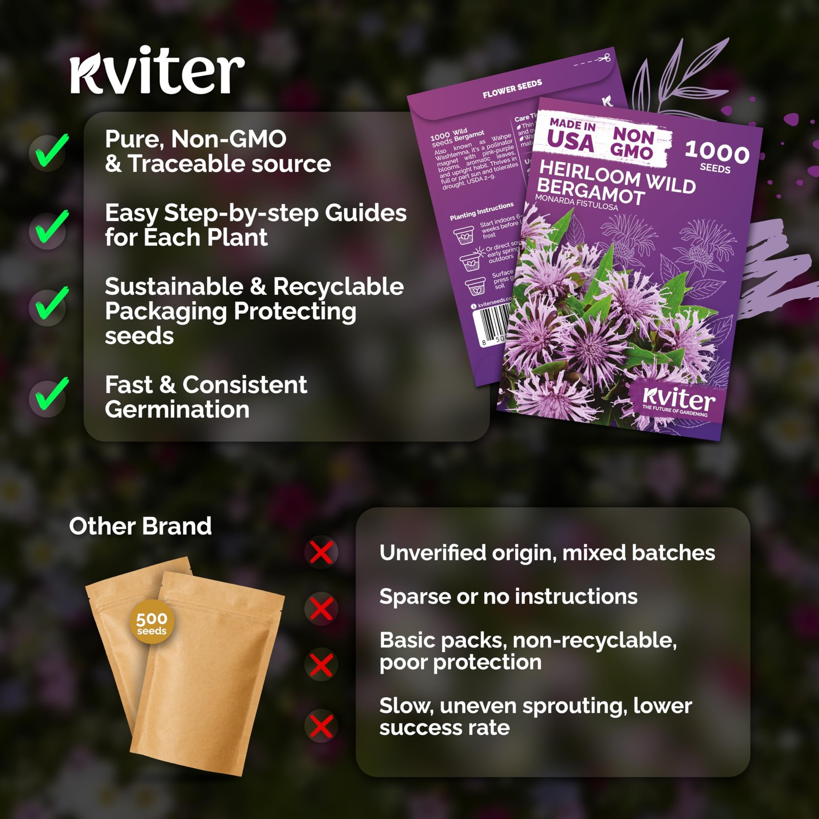 KVITER 1,000 Wild Bergamot Seeds for Planting (Monarda fistulosa)