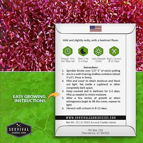 Red Amaranth Microgreen Seeds for Sprouting – Non-GMO Heirloom Seed Variety 3