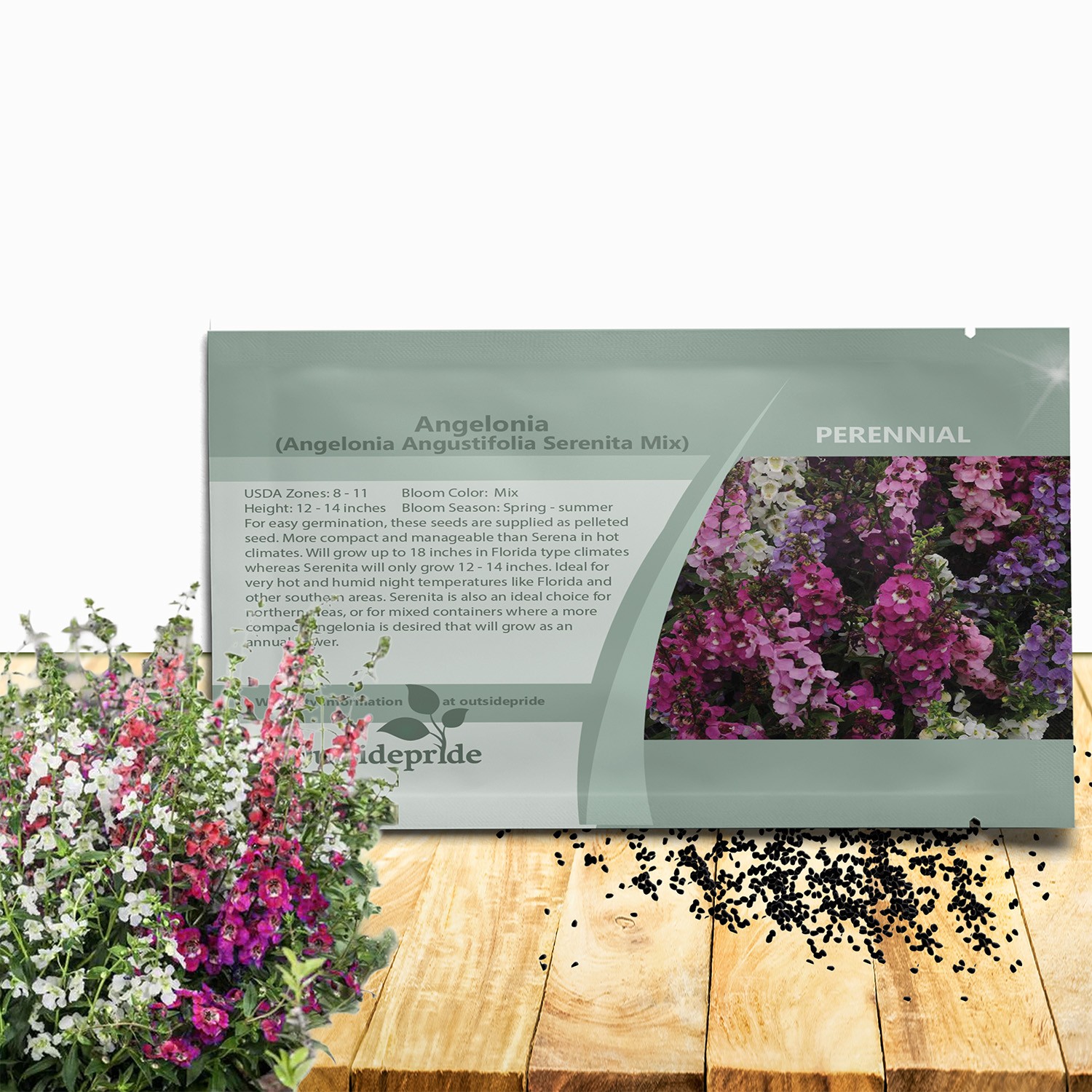 15 Seeds Drought Tolerant Angelonia Serenita Garden Flower Plant Seed Mix