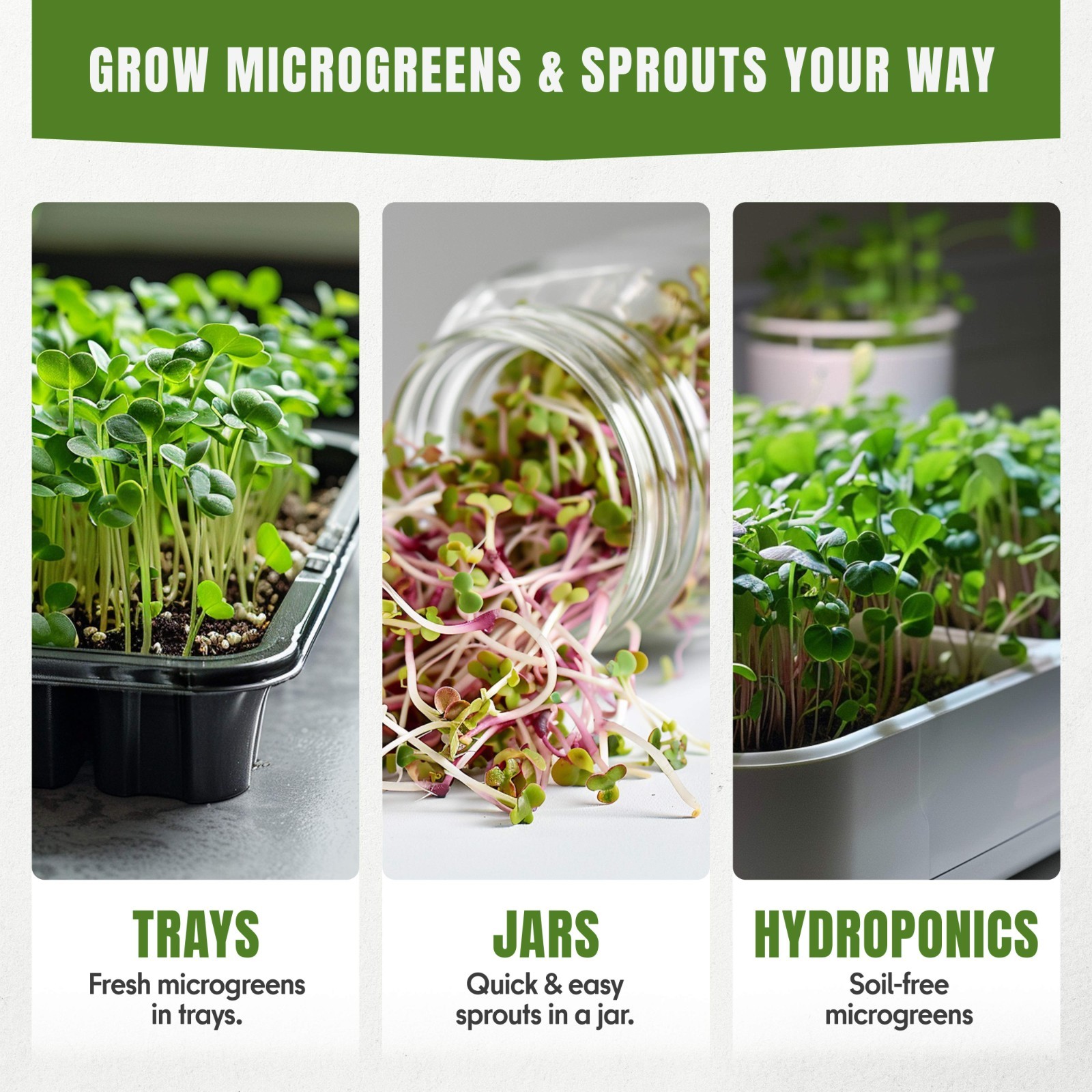 Microgreens Sprouting Seeds Mix, 5 Varieties, Non-GMO Heirloom, 5050+ Seeds