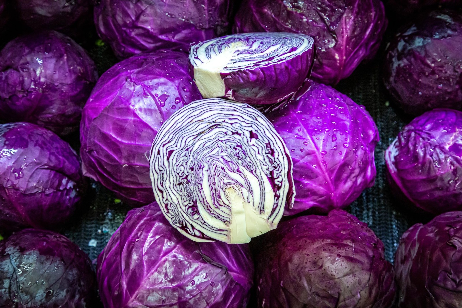 Red Acre Cabbage Seeds for Planting – Plant & Grow Heirloom Red Acre Cabbage …