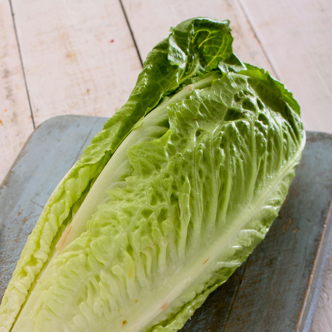 Fresh Crisp Giant Caesar Romaine Lettuce Seeds| Heirloom Non-GMO | Vegetables
