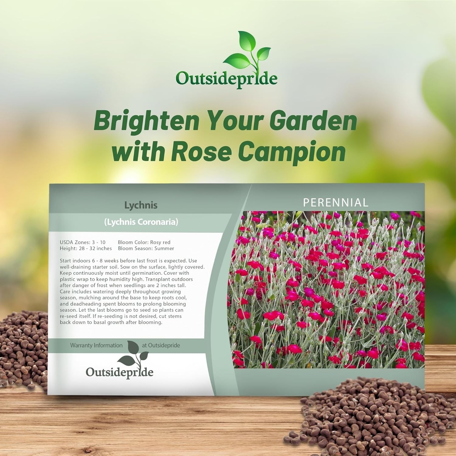 5000 Seeds Lychnis Seed – Lychnis Coronaria Rose Campion Flower Seeds